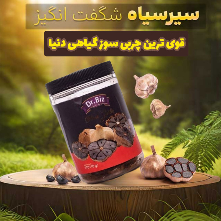 سیر سیاه فرآوری شده طبیعی